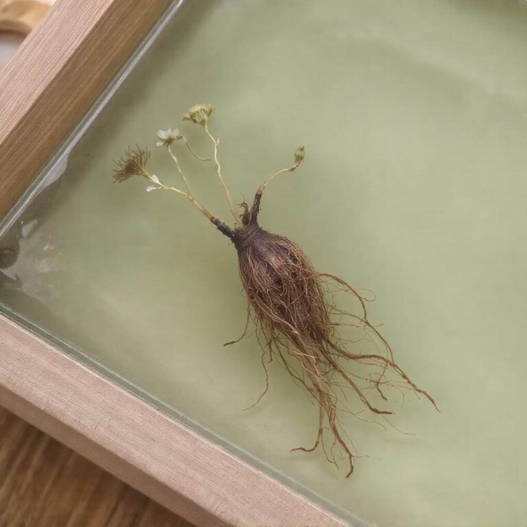 Ekologiczne suszenie