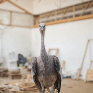 Platforma do żurawia